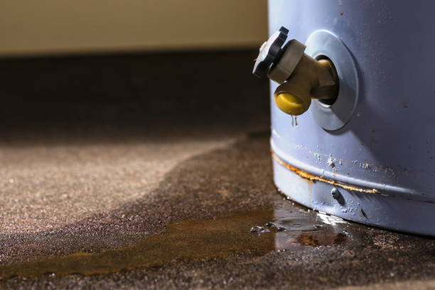 Best Water damage restoration near me  in Augusta, KY