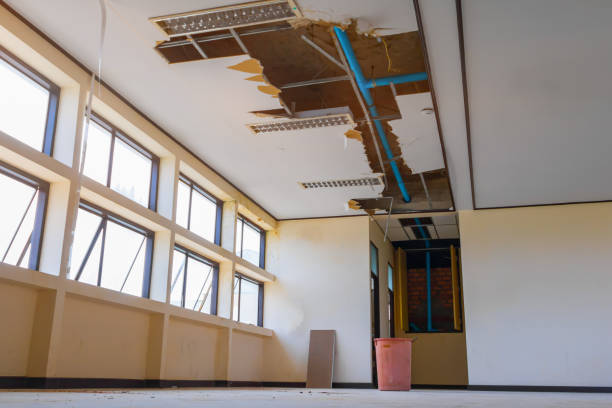 Best Fire Damage Restoration  in Augusta, KY