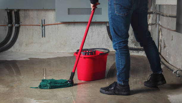 Best Flood damage cleanup  in Augusta, KY