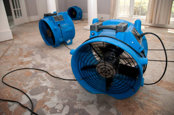 Sewage cleanup and water damage restoration in Augusta, KY