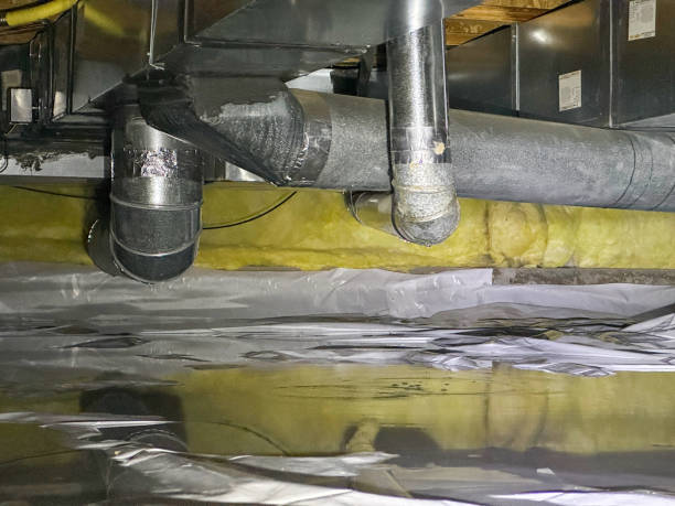 Best 24-hour water damage restoration  in Augusta, KY