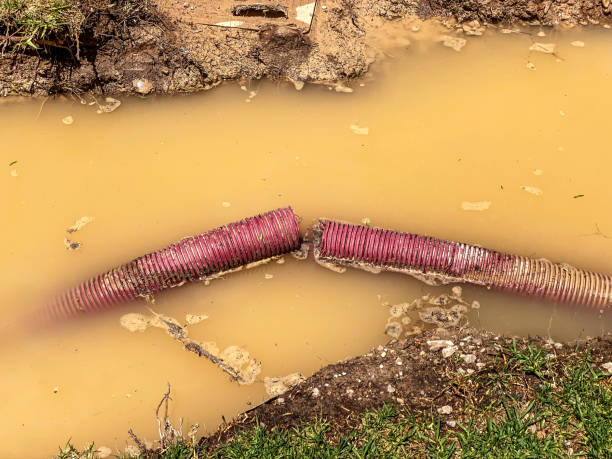 Water damage restoration mold remediation in Augusta, KY