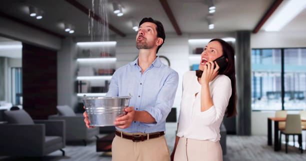Best Water damage restoration near me  in Augusta, KY