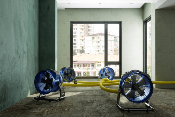 Best Water damage restoration company  in Augusta, KY