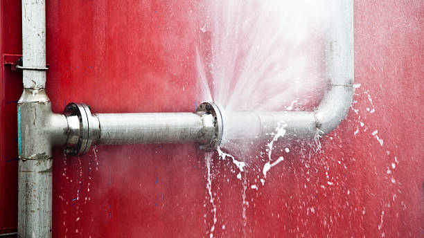 Best Professional water damage repair  in Augusta, KY