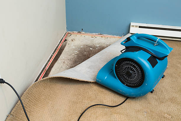  Augusta, KY Water damage restoration Pros